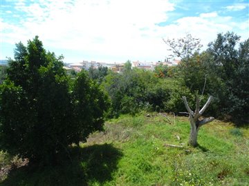 Terreno