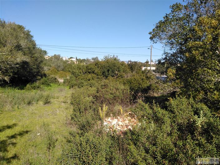 Image No.1-Propriété à vendre à Mexilhoeira Grande