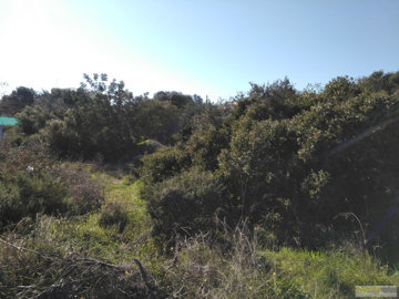 0003e3bdb10712