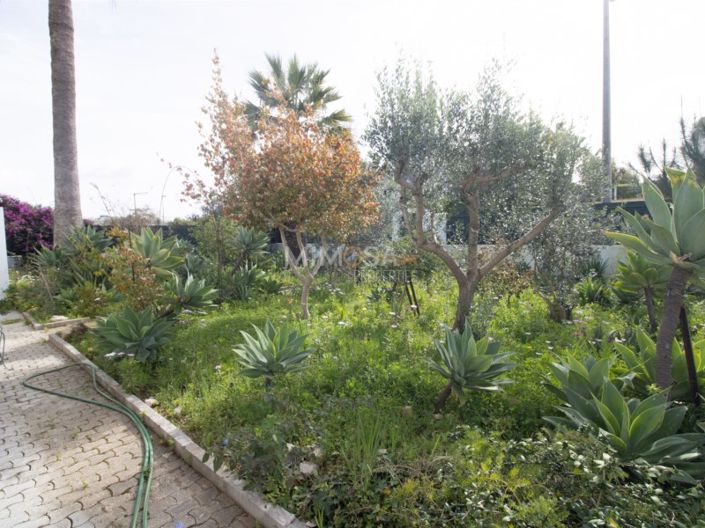 Image No.34-3 Bed House for sale