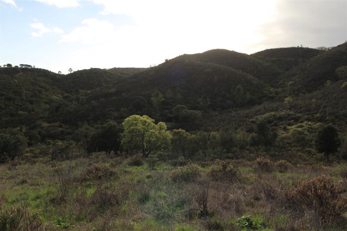 Image No.21-Farmhouse for sale