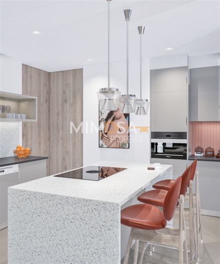 Image No.19-4 Bed House for sale