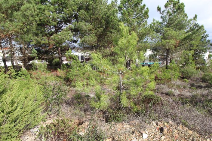 Image No.7-Propriété à vendre à Aljezur