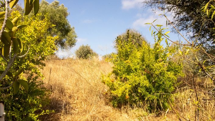 Image No.10-Ferme de 4 chambres à vendre à Lagos