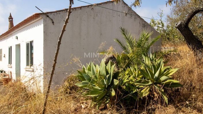 Image No.17-Ferme de 4 chambres à vendre à Lagos