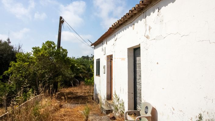 Image No.19-Ferme de 4 chambres à vendre à Lagos