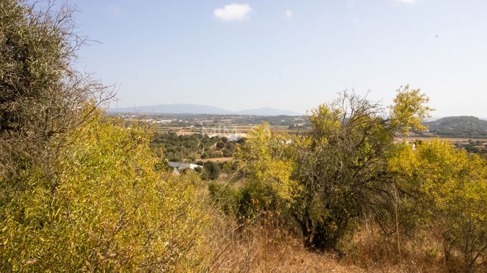 Image No.21-Ferme de 4 chambres à vendre à Lagos