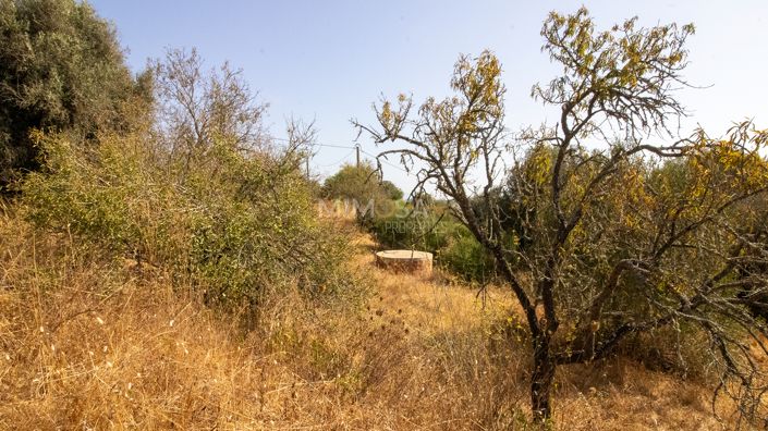 Image No.7-Ferme de 4 chambres à vendre à Lagos