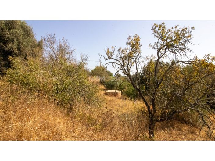 Image No.7-4 Bed Farmhouse for sale