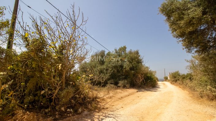 Image No.15-Property for sale