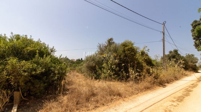 Image No.17-Property for sale