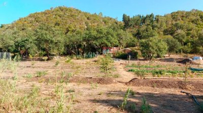 Terreno
