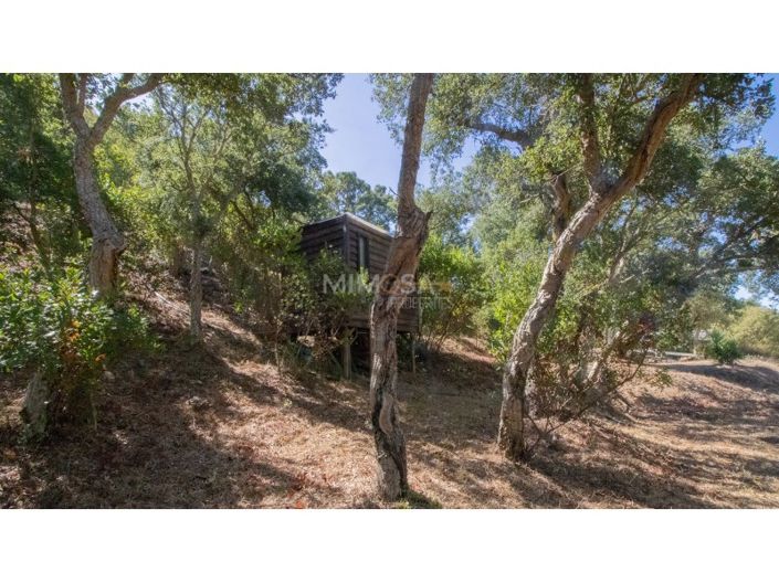 Image No.7-4 Bed Farmhouse for sale