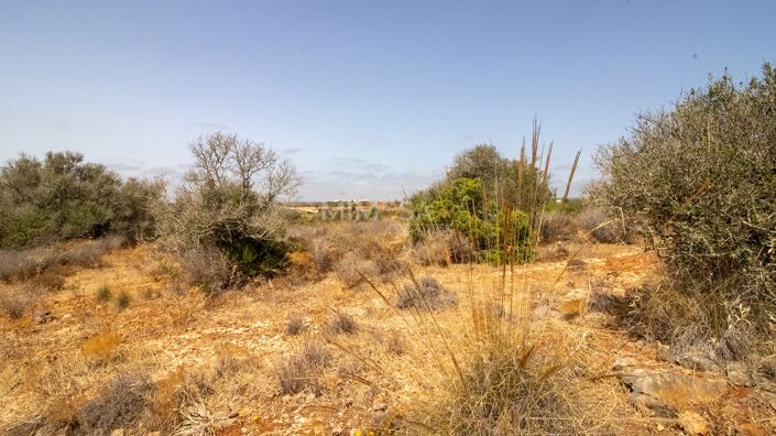 Image No.11-Propriété à vendre à Luz