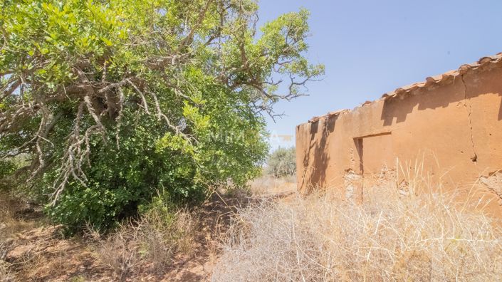 Image No.3-Propriété à vendre à Luz