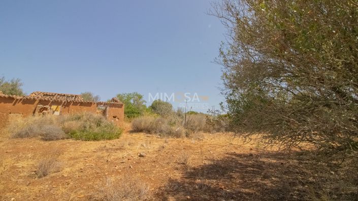 Image No.5-Propriété à vendre à Luz