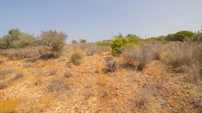 Terreno