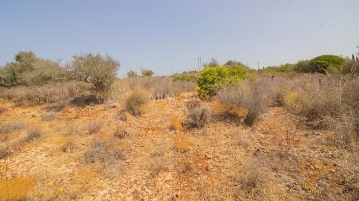 Image No.9-Propriété à vendre à Luz