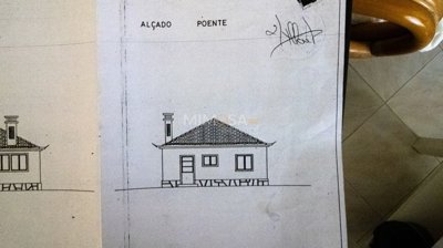 Planta