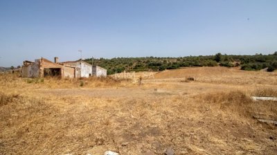 Terreno