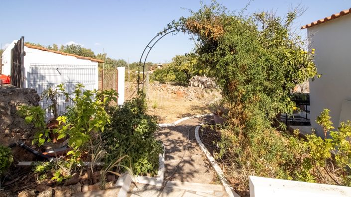 Image No.25-4 Bed Country House for sale