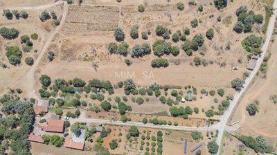 2b01a014-50a5-468f-b017-fe355f32a3c4