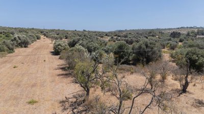 1e551fea-65bd-4cab-ae0b-1304b7fe37b9