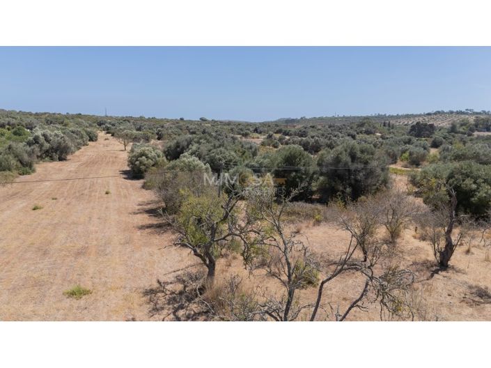 Image No.8-Plot for sale