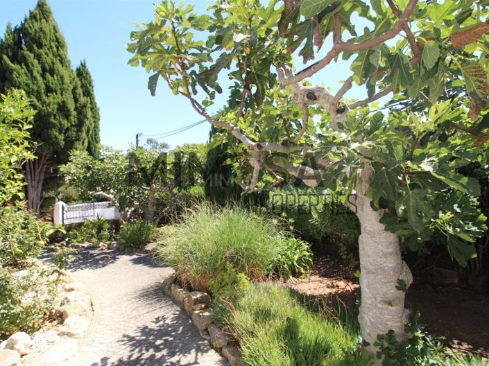 Image No.42-4 Bed House for sale