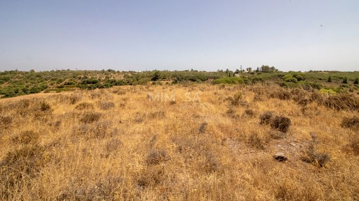 Image No.12-3 Bed House for sale