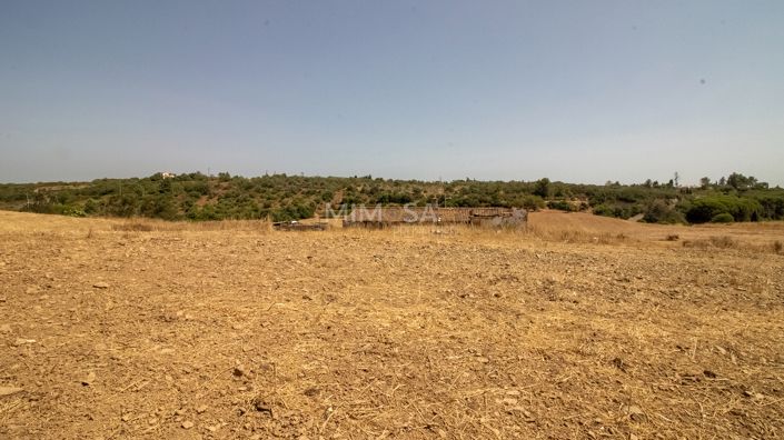 Image No.17-3 Bed House for sale