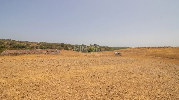 Image No.19-3 Bed House for sale