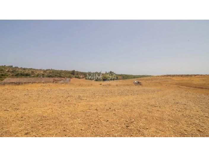 Image No.19-3 Bed House for sale