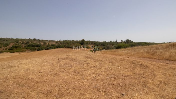 Image No.20-3 Bed House for sale