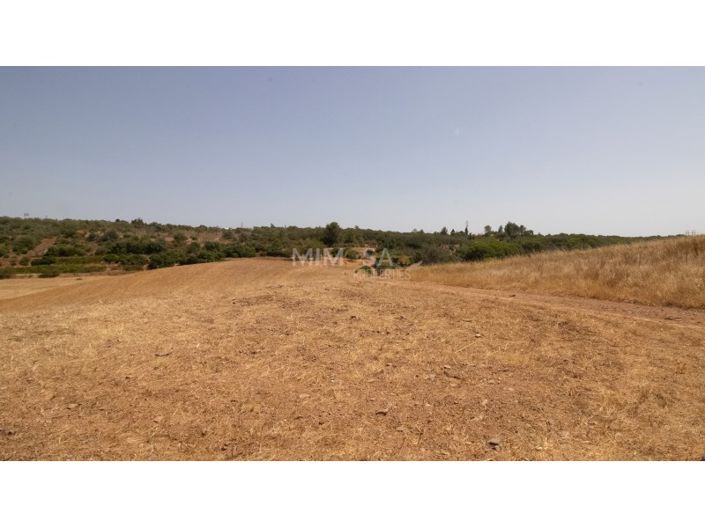 Image No.20-3 Bed House for sale