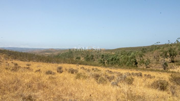 Image No.9-3 Bed House for sale