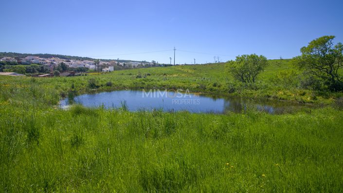 Image No.24-1 Bed Property for sale