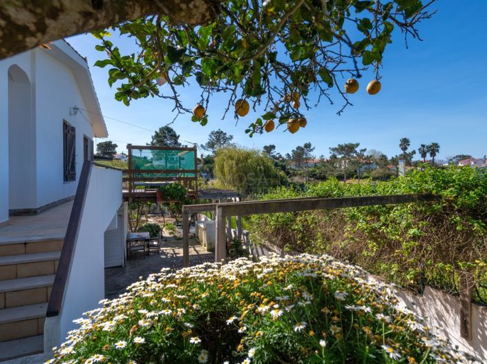 Image No.39-3 Bed House for sale