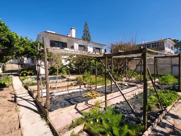 Image No.46-3 Bed House for sale
