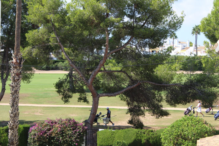 Image No.21-Villa de 3 chambres à vendre à Villamartin