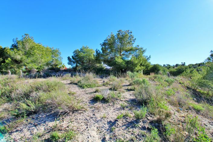 Image No.4-Terrain à vendre à San Miguel de Salinas
