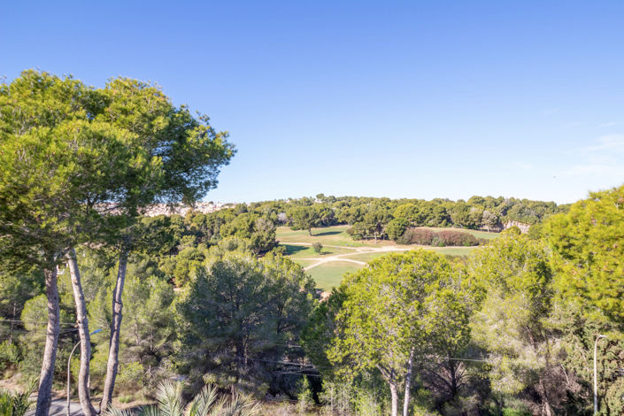 Image No.37-Villa de 2 chambres à vendre à Villamartin