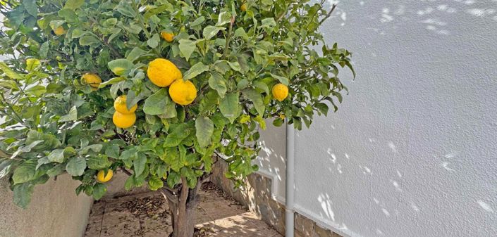 Image No.17-2 Bed Bungalow for sale