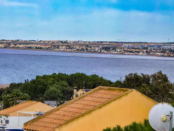 Image No.24-Appartement de 1 chambre à vendre à Torrevieja