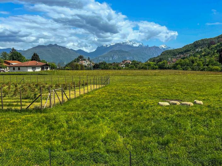 Image No.3-Appartement de 2 chambres à vendre à Menaggio