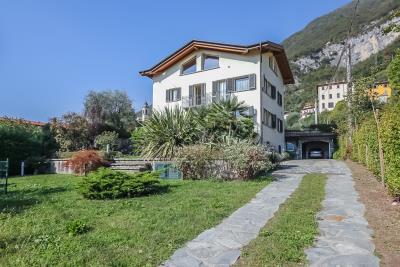 IMG_7941