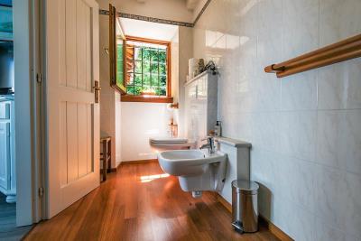 WhatsApp-Image-2026-01-29-at-17-58-05--1-