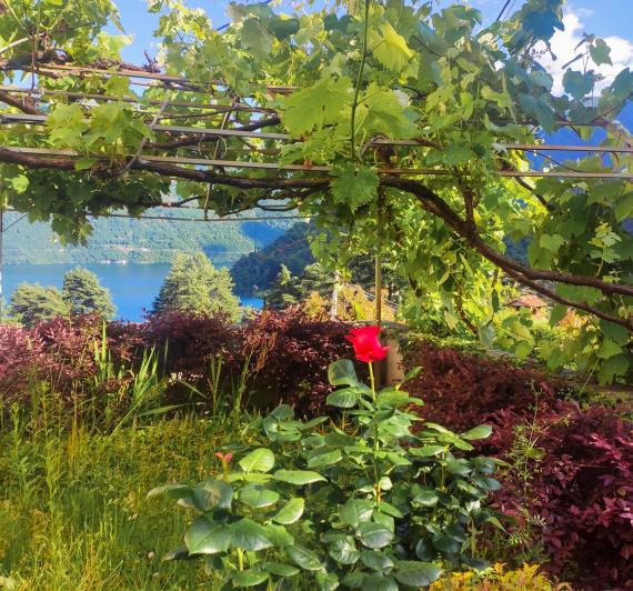 Image No.24-Appartement de 2 chambres à vendre à Tremezzina