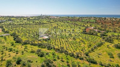 1 - Albufeira, Terrain