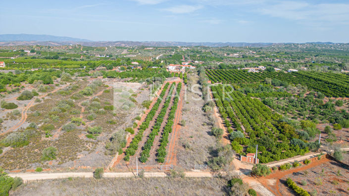 Image No.21-Villa de 3 chambres à vendre à Silves